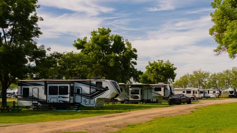 Rv motor homes Large vehicles parked at campsite on grass under tress in spring